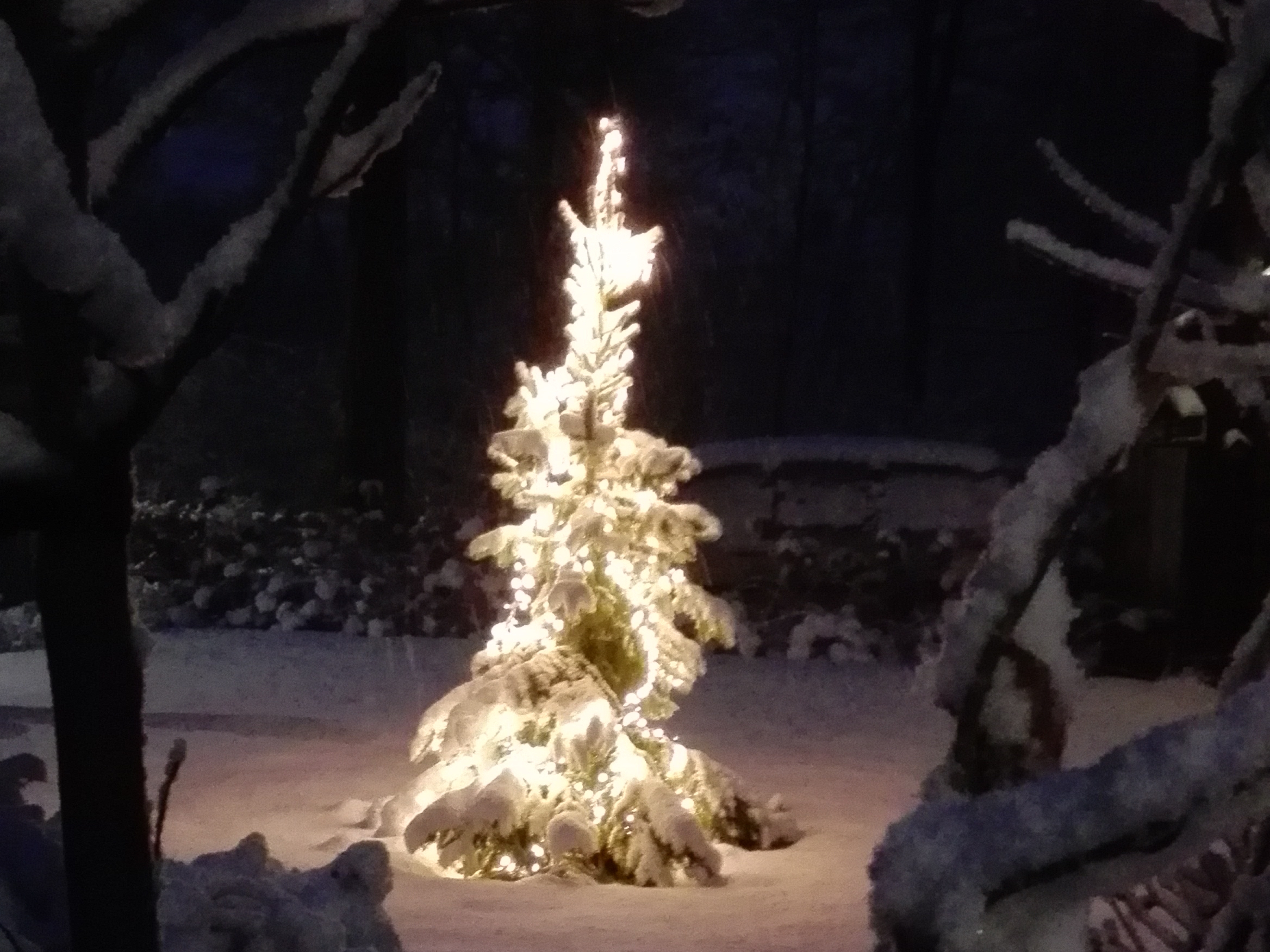 winterlichte-kerstboom