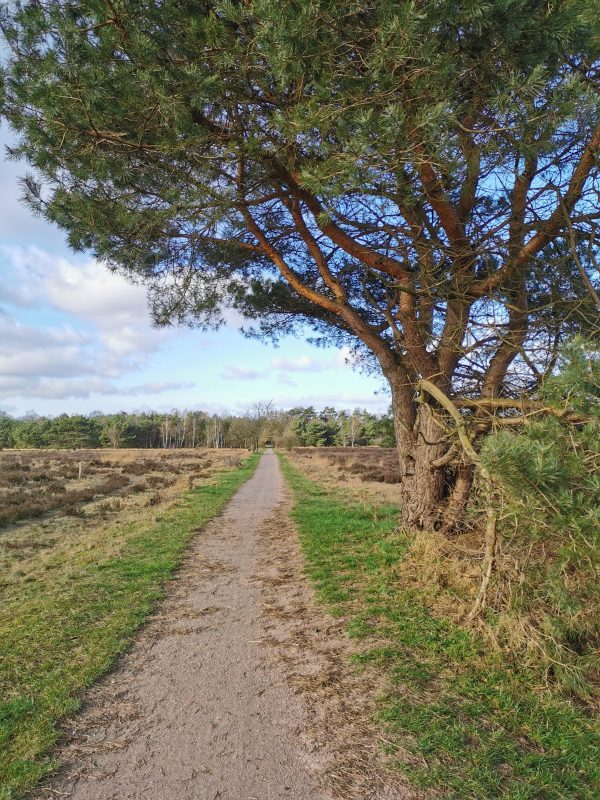 Wandelpad Elspeterveld