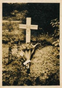 Graf BROWN
