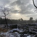 Heide Vierhouten winter