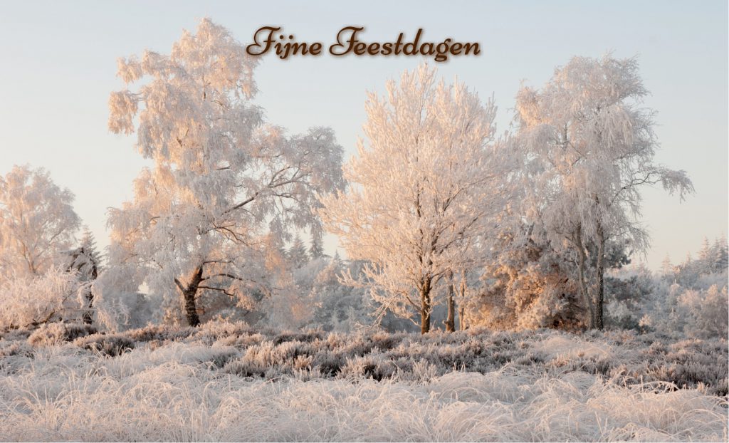 Fijne-feestdagen-sneeuw