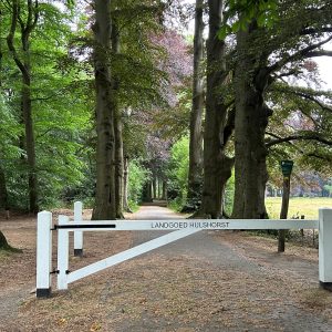 Landgoed Hulshorst oude B laan oude bomen