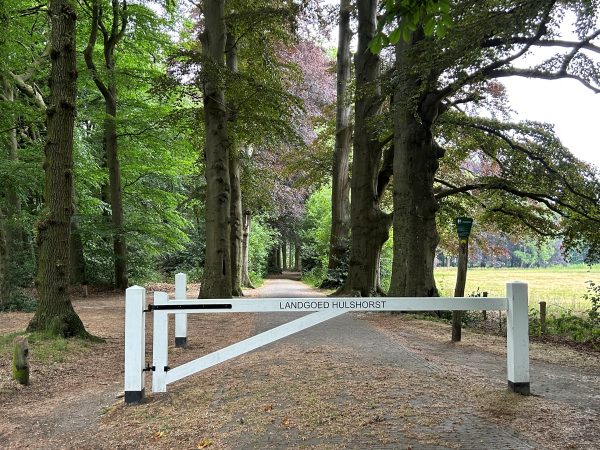 Landgoed Hulshorst oude B laan oude bomen