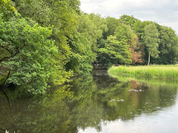 Landgoed Hulshorst vijver