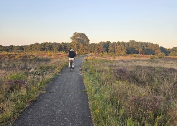 Fietsers heide