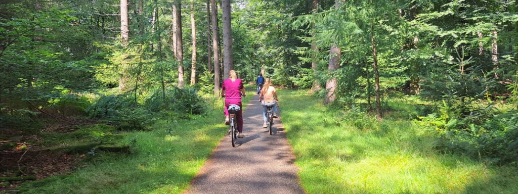 Fietsers Speulderbos