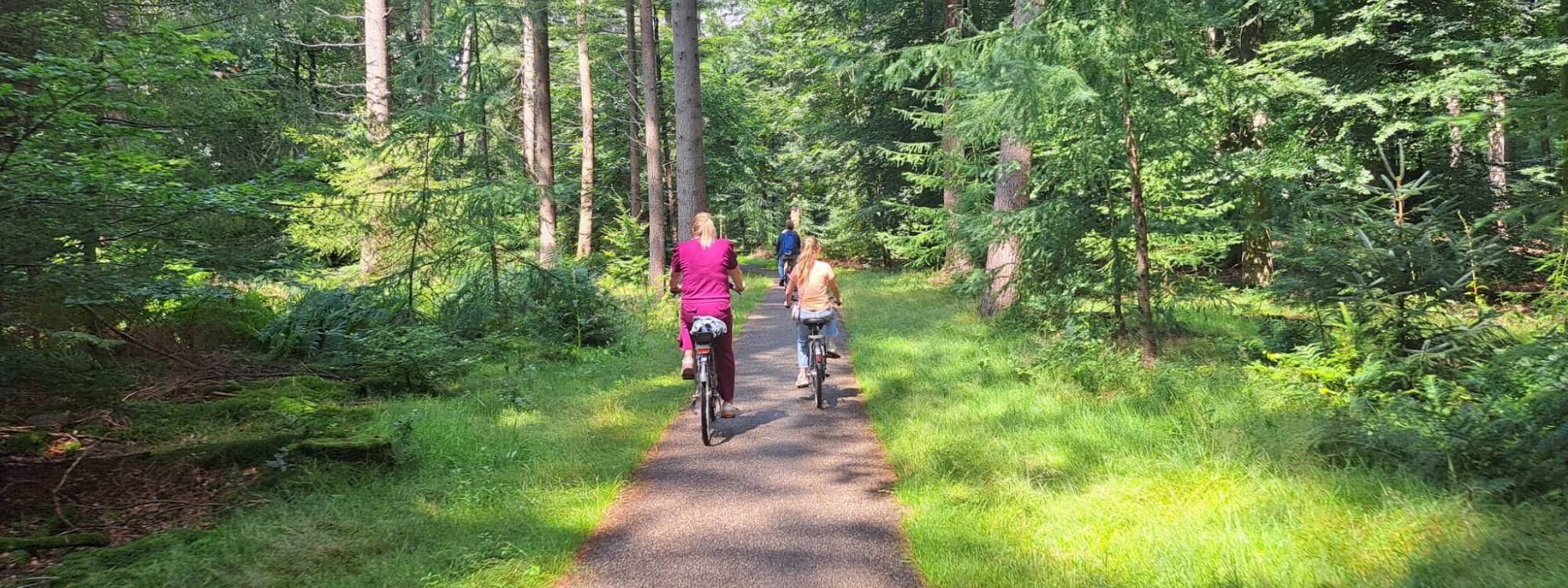Fietsers Speulderbos