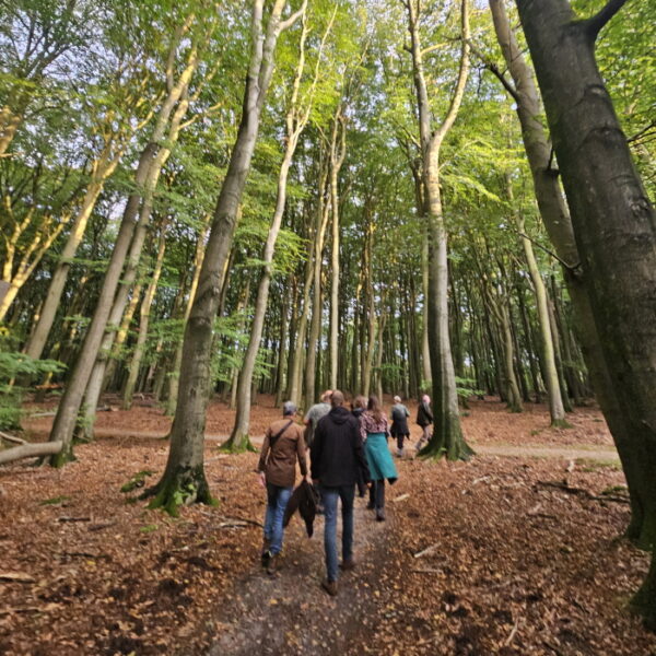 Excursie met gids herfstbos